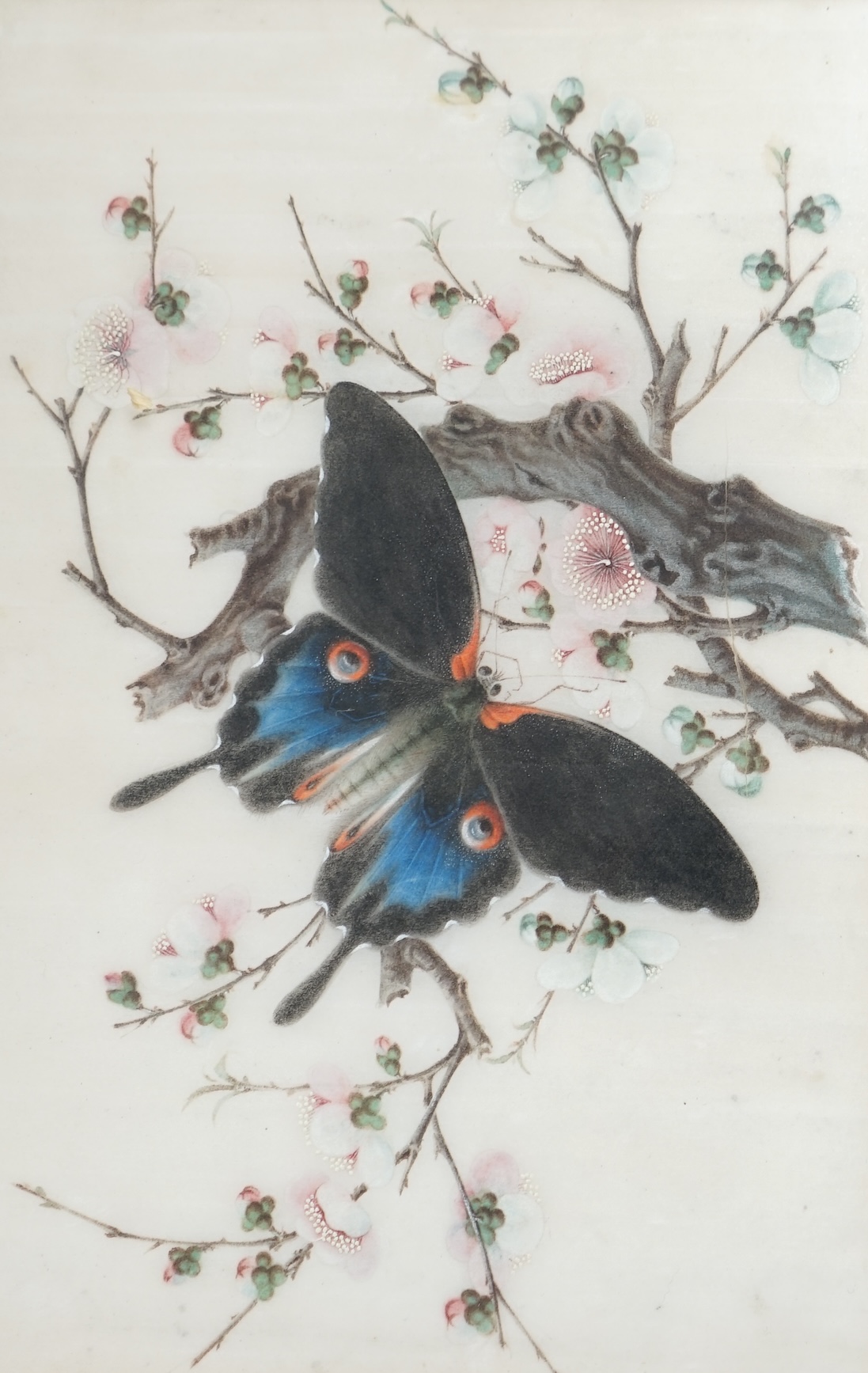 19th century, Cantonese School, two pith paper paintings, Butterflies amongst flowers, 25 x 17.5cm. Condition - fair